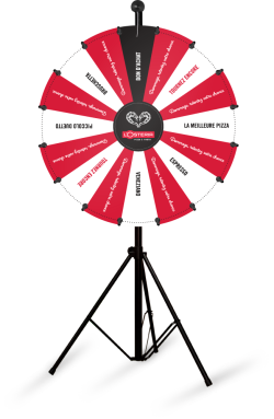 Home 7 custom prize wheel